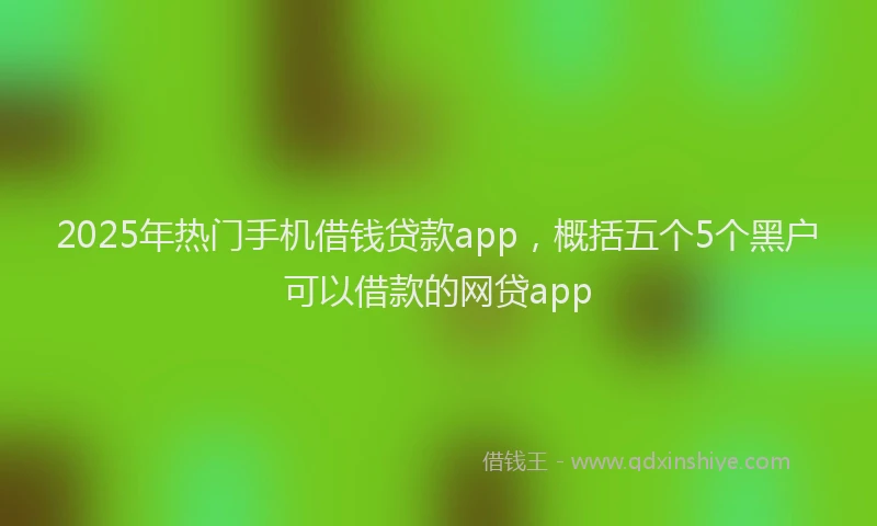 2025年热门手机借钱贷款app，概括五个5个黑户可以借款的网贷app