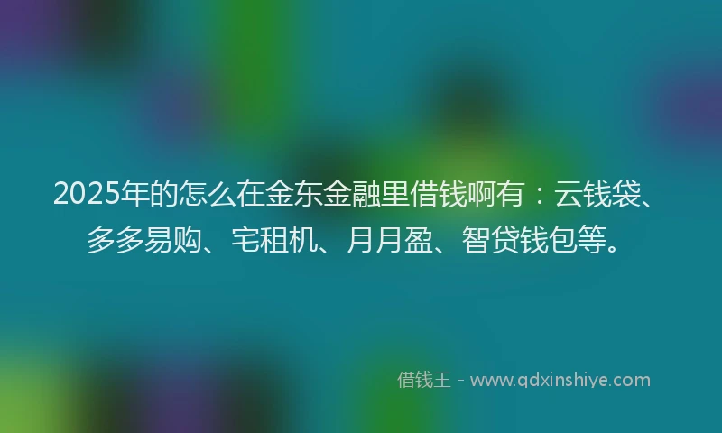 2025年的怎么在金东金融里借钱啊有：云钱袋、多多易购、宅租机、月月盈、智贷钱包等。