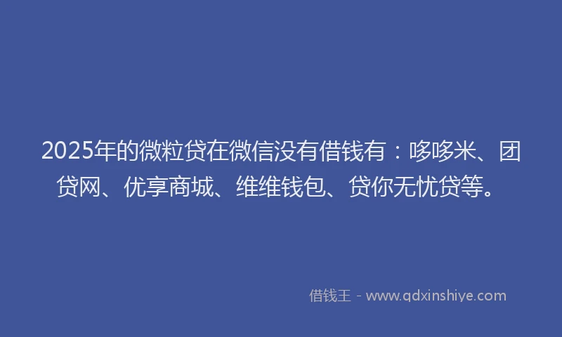 2025年的微粒贷在微信没有借钱有：哆哆米、团贷网、优享商城、维维钱包、贷你无忧贷等。