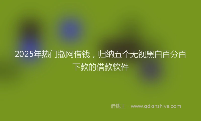 2025年热门撒网借钱，归纳五个无视黑白百分百下款的借款软件
