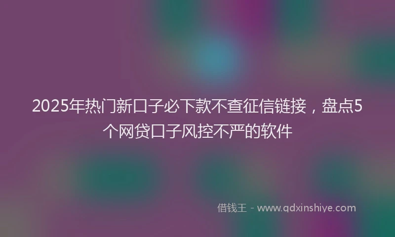 2025年热门新口子必下款不查征信链接，盘点5个网贷口子风控不严的软件