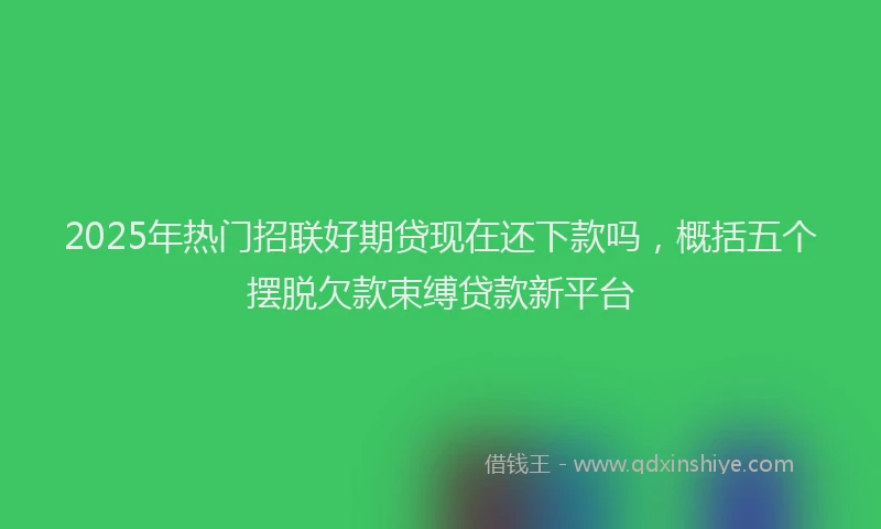 2025年热门招联好期贷现在还下款吗，概括五个摆脱欠款束缚贷款新平台