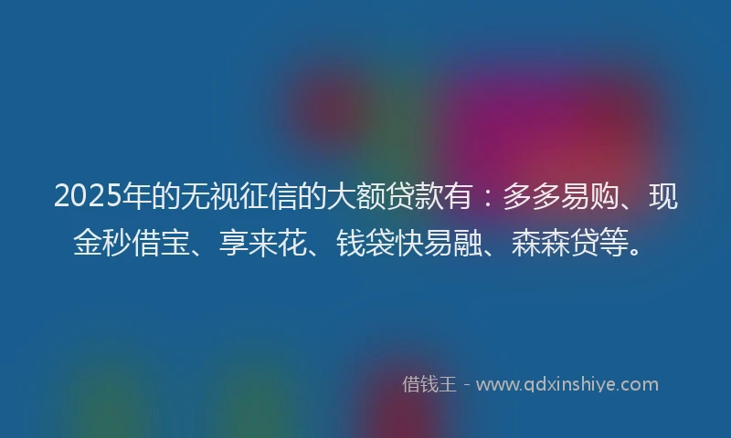 2025年的无视征信的大额贷款有：多多易购、现金秒借宝、享来花、钱袋快易融、森森贷等。