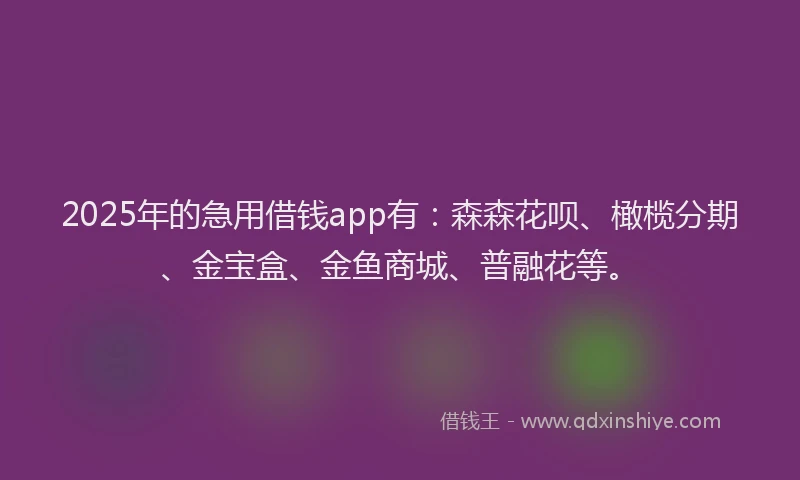 2025年的急用借钱app有：森森花呗、橄榄分期、金宝盒、金鱼商城、普融花等。