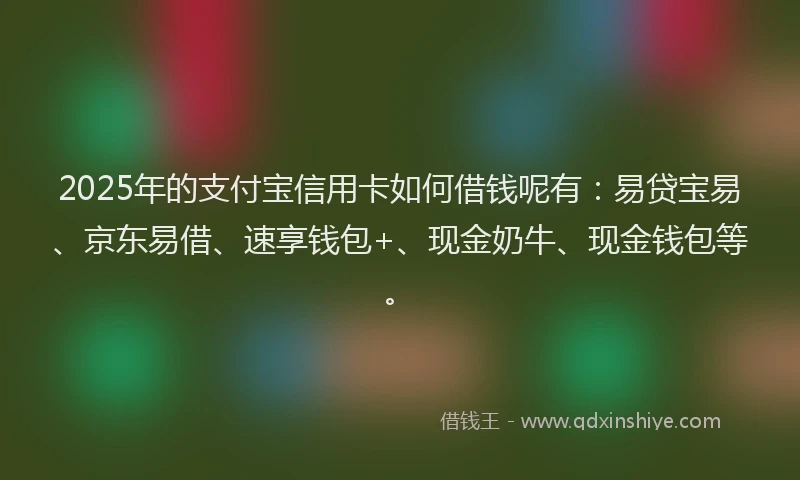 2025年的支付宝信用卡如何借钱呢有：易贷宝易、京东易借、速享钱包+、现金奶牛、现金钱包等。