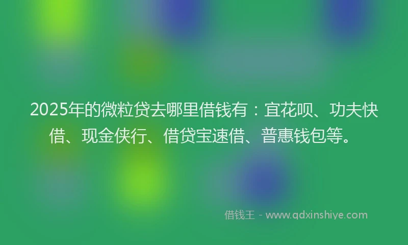 2025年的微粒贷去哪里借钱有：宜花呗、功夫快借、现金侠行、借贷宝速借、普惠钱包等。