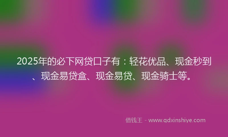 2025年的必下网贷口子有：轻花优品、现金秒到、现金易贷盒、现金易贷、现金骑士等。