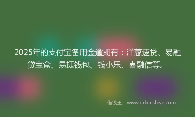 2025年的支付宝备用金逾期有：洋葱速贷、易融贷宝盒、易捷钱包、钱小乐、喜融信等。