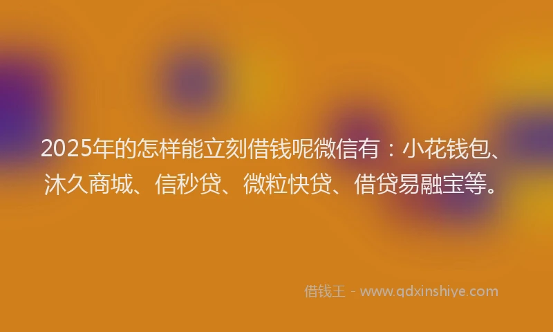 2025年的怎样能立刻借钱呢微信有：小花钱包、沐久商城、信秒贷、微粒快贷、借贷易融宝等。