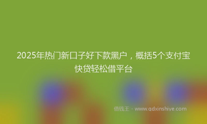 2025年热门新口子好下款黑户，概括5个支付宝快贷轻松借平台