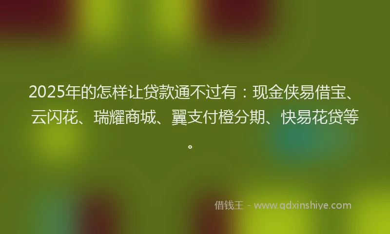 2025年的怎样让贷款通不过有：现金侠易借宝、云闪花、瑞耀商城、翼支付橙分期、快易花贷等。