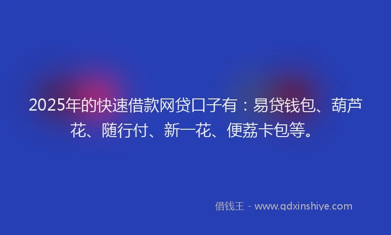 2025年的快速借款网贷口子有：易贷钱包、葫芦花、随行付、新一花、便荔卡包等。