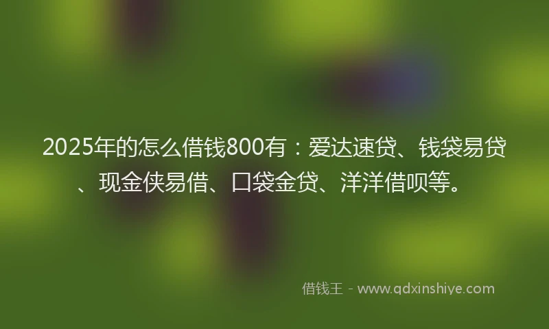 2025年的怎么借钱800有：爱达速贷、钱袋易贷、现金侠易借、口袋金贷、洋洋借呗等。