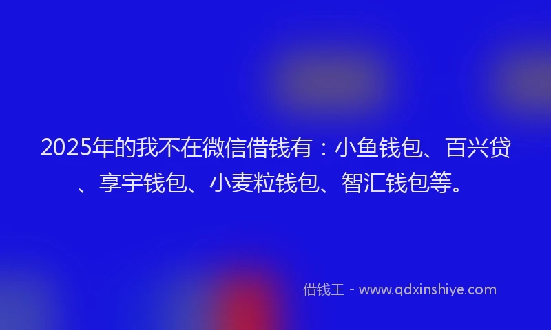 2025年的我不在微信借钱有：小鱼钱包、百兴贷、享宇钱包、小麦粒钱包、智汇钱包等。