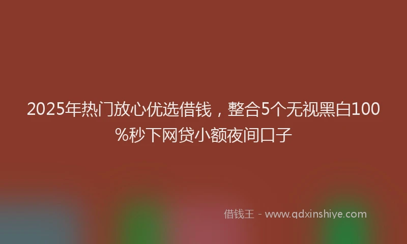 2025年热门放心优选借钱，整合5个无视黑白100%秒下网贷小额夜间口子