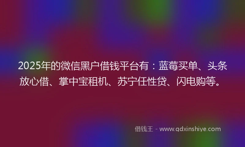 2025年的微信黑户借钱平台有：蓝莓买单、头条放心借、掌中宝租机、苏宁任性贷、闪电购等。