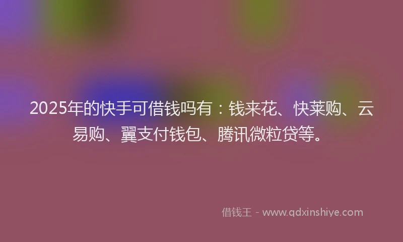 2025年的快手可借钱吗有：钱来花、快莱购、云易购、翼支付钱包、腾讯微粒贷等。