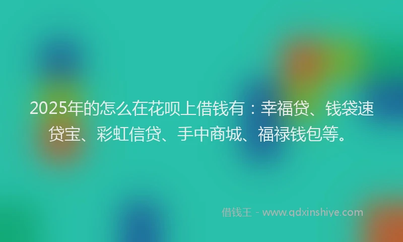 2025年的怎么在花呗上借钱有：幸福贷、钱袋速贷宝、彩虹信贷、手中商城、福禄钱包等。