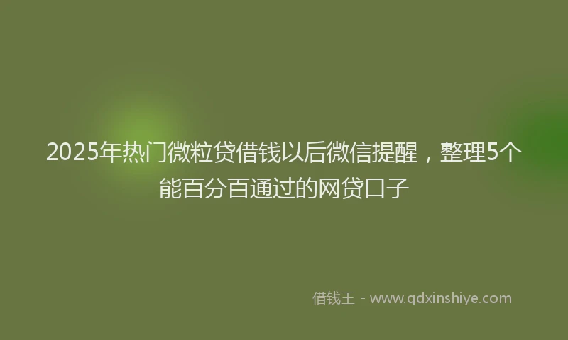 2025年热门微粒贷借钱以后微信提醒，整理5个能百分百通过的网贷口子