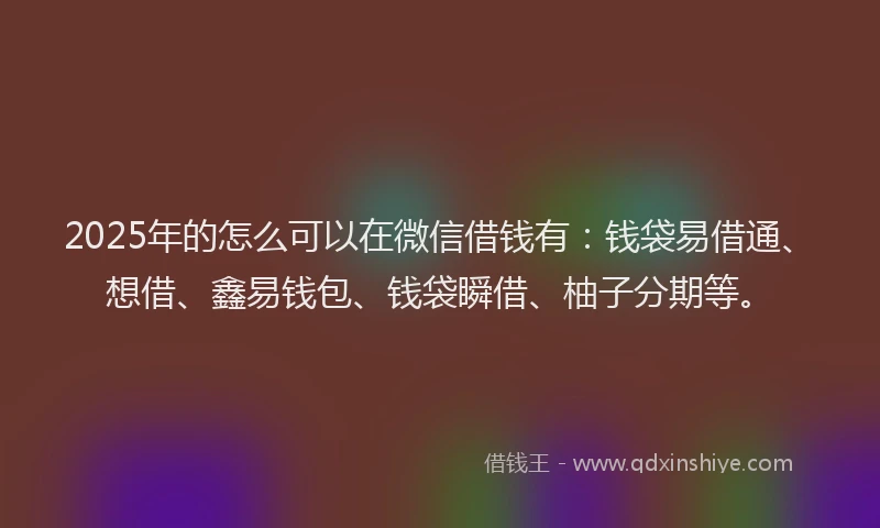 2025年的怎么可以在微信借钱有：钱袋易借通、想借、鑫易钱包、钱袋瞬借、柚子分期等。