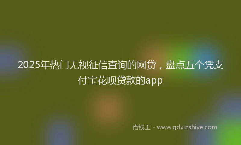2025年热门无视征信查询的网贷，盘点五个凭支付宝花呗贷款的app