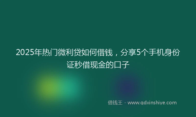 2025年热门微利贷如何借钱，分享5个手机身份证秒借现金的口子