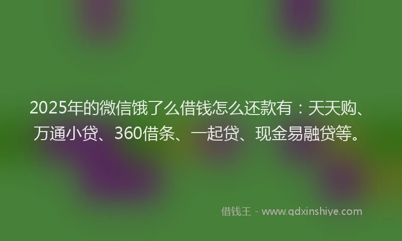 2025年的微信饿了么借钱怎么还款有：天天购、万通小贷、360借条、一起贷、现金易融贷等。