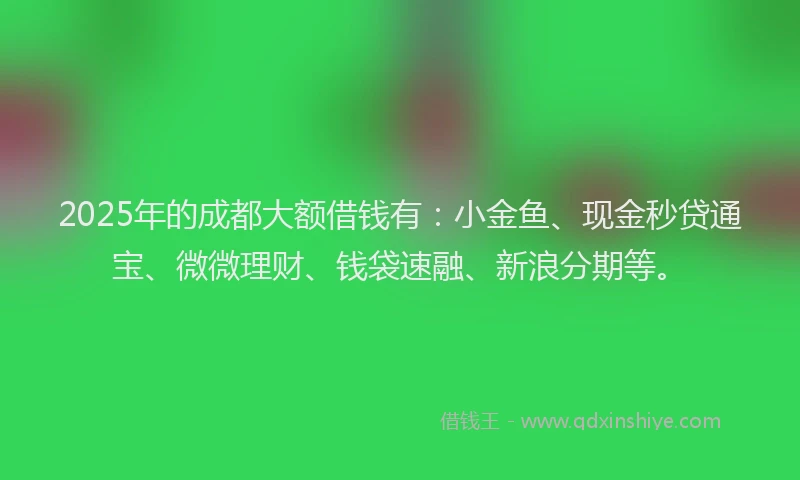 2025年的成都大额借钱有：小金鱼、现金秒贷通宝、微微理财、钱袋速融、新浪分期等。