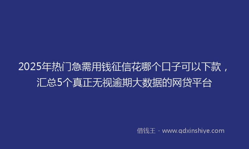 2025年热门急需用钱征信花哪个口子可以下款，汇总5个真正无视逾期大数据的网贷平台