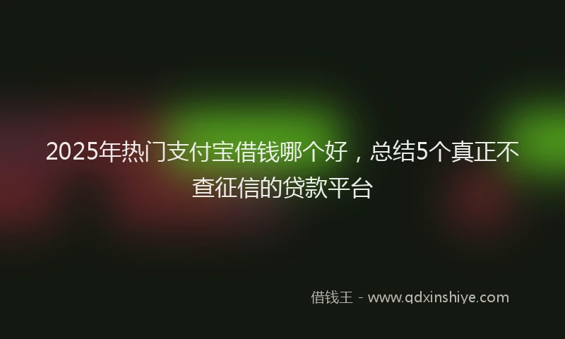 2025年热门支付宝借钱哪个好，总结5个真正不查征信的贷款平台
