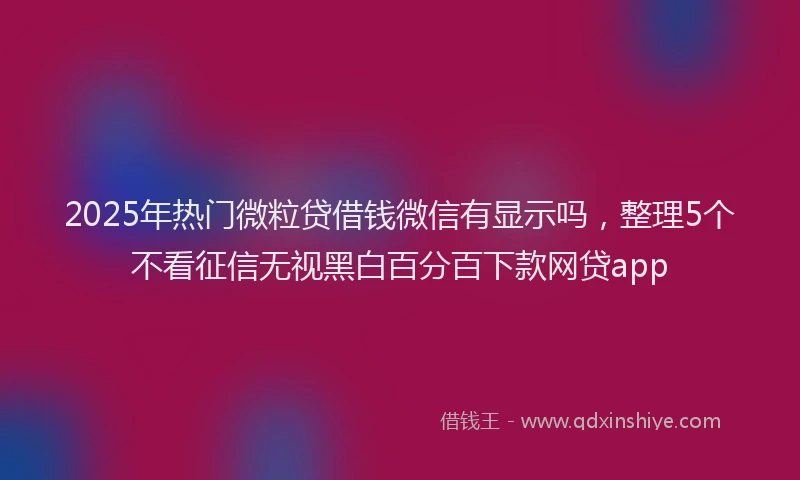 2025年热门微粒贷借钱微信有显示吗，整理5个不看征信无视黑白百分百下款网贷app