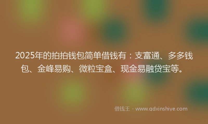 2025年的拍拍钱包简单借钱有：支富通、多多钱包、金峰易购、微粒宝盒、现金易融贷宝等。