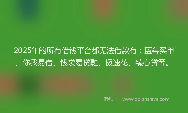 2025年的所有借钱平台都无法借款有：蓝莓买单、你我易借、钱袋易贷融、极速花、臻心贷等。