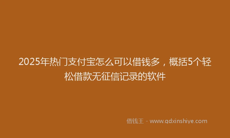 2025年热门支付宝怎么可以借钱多，概括5个轻松借款无征信记录的软件