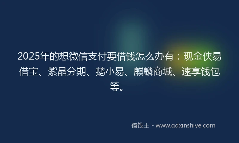 2025年的想微信支付要借钱怎么办有：现金侠易借宝、紫晶分期、鹅小易、麒麟商城、速享钱包等。