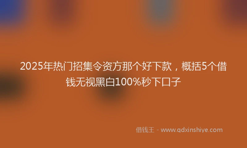 2025年热门招集令资方那个好下款，概括5个借钱无视黑白100%秒下口子
