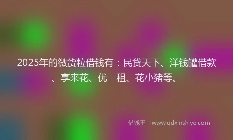 2025年的微货粒借钱有：民贷天下、洋钱罐借款、享来花、优一租、花小猪等。