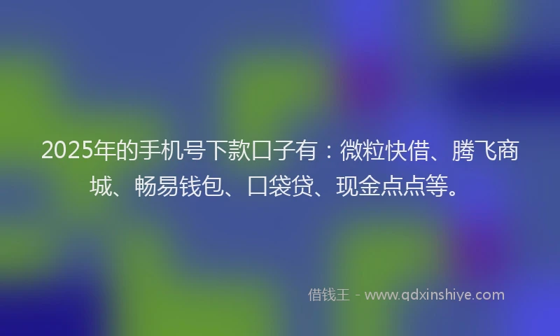 2025年的手机号下款口子有：微粒快借、腾飞商城、畅易钱包、口袋贷、现金点点等。