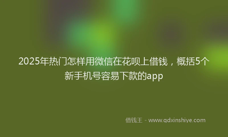 2025年热门怎样用微信在花呗上借钱，概括5个新手机号容易下款的app