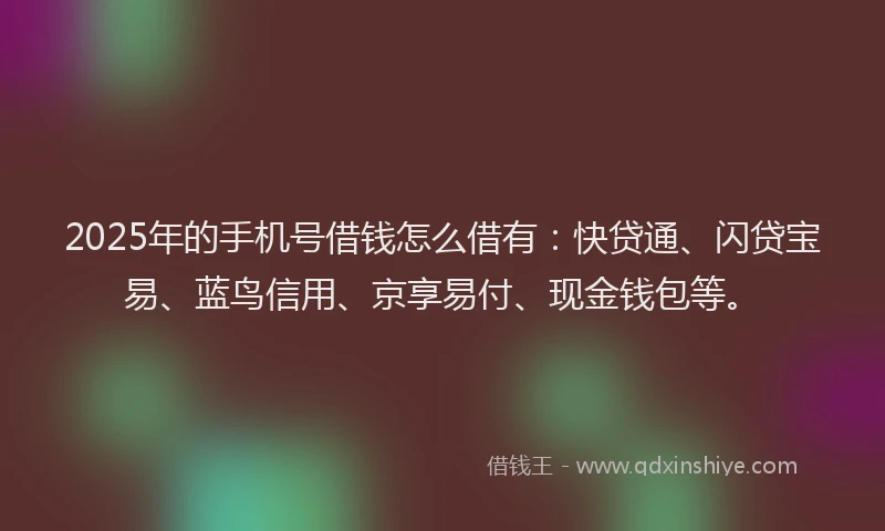 2025年的手机号借钱怎么借有：快贷通、闪贷宝易、蓝鸟信用、京享易付、现金钱包等。
