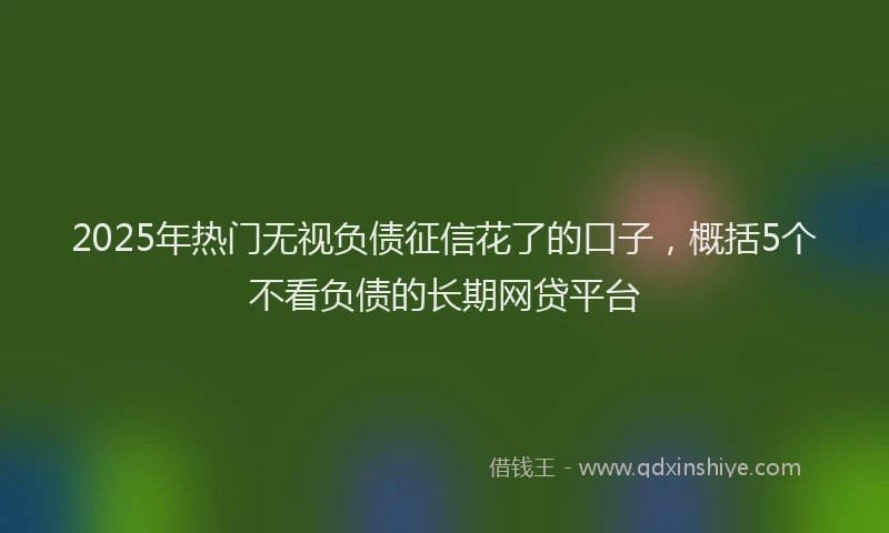 2025年热门无视负债征信花了的口子，概括5个不看负债的长期网贷平台