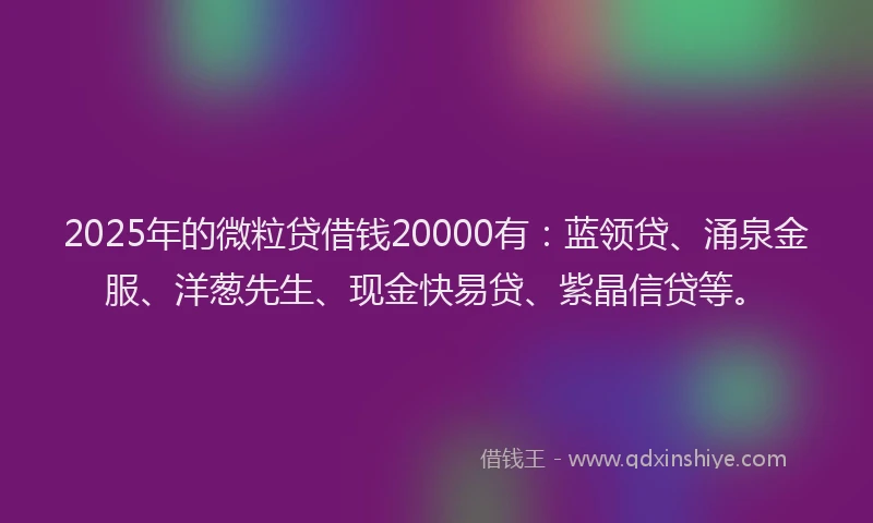 2025年的微粒贷借钱20000有：蓝领贷、涌泉金服、洋葱先生、现金快易贷、紫晶信贷等。