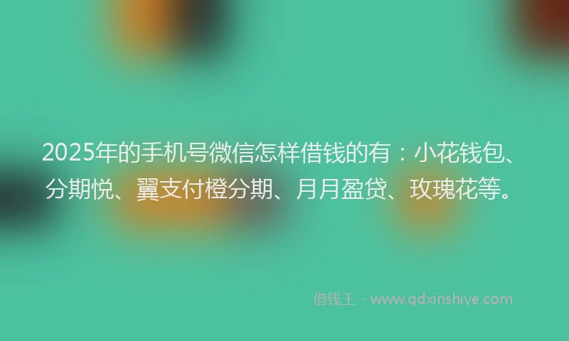 2025年的手机号微信怎样借钱的有：小花钱包、分期悦、翼支付橙分期、月月盈贷、玫瑰花等。