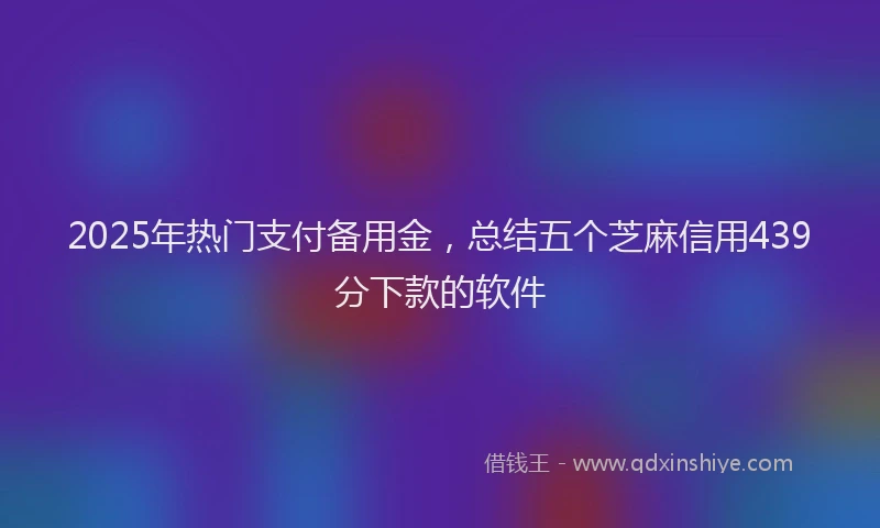 2025年热门支付备用金，总结五个芝麻信用439分下款的软件