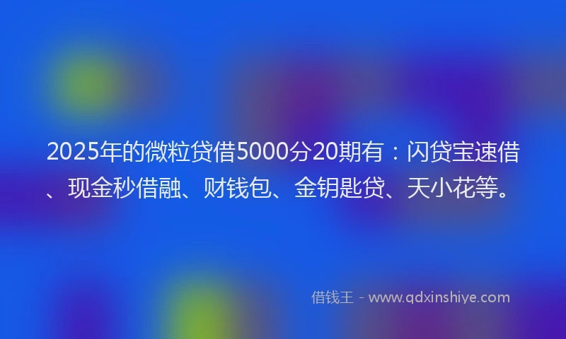2025年的微粒贷借5000分20期有：闪贷宝速借、现金秒借融、财钱包、金钥匙贷、天小花等。