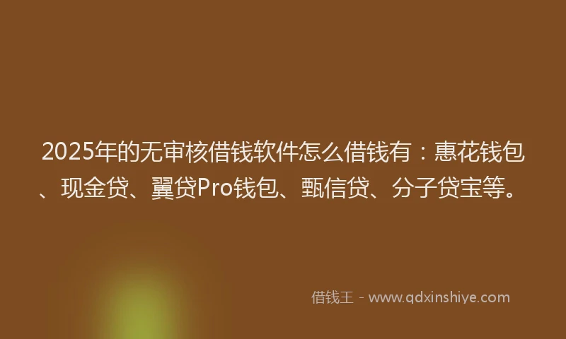 2025年的无审核借钱软件怎么借钱有：惠花钱包、现金贷、翼贷Pro钱包、甄信贷、分子贷宝等。