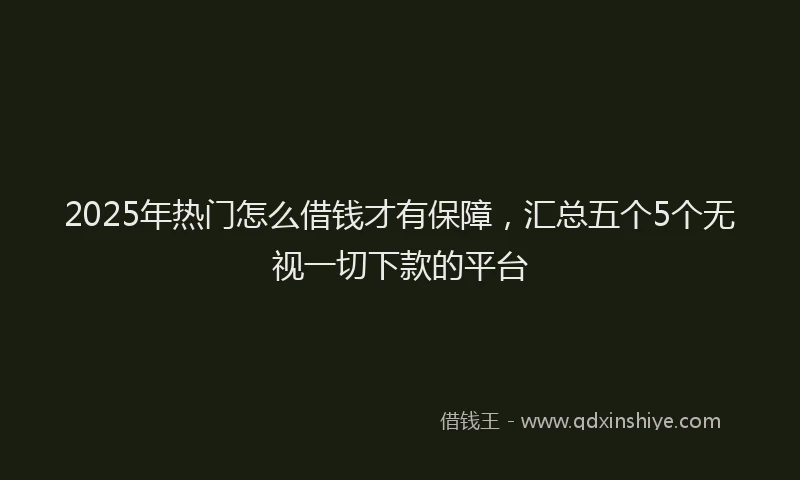 2025年热门怎么借钱才有保障，汇总五个5个无视一切下款的平台