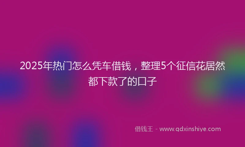 2025年热门怎么凭车借钱，整理5个征信花居然都下款了的口子