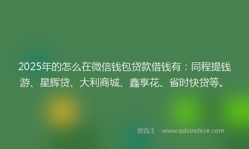2025年的怎么在微信钱包贷款借钱有：同程提钱游、星辉贷、大利商城、鑫享花、省时快贷等。