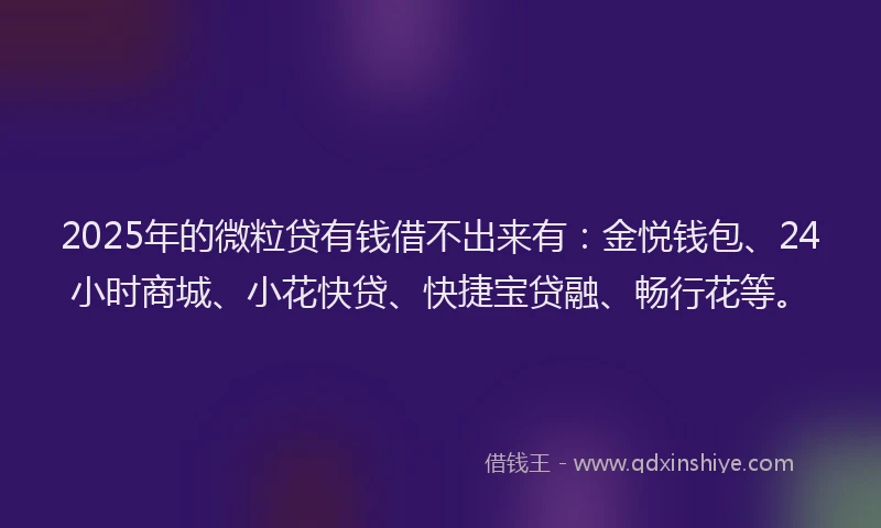 2025年的微粒贷有钱借不出来有：金悦钱包、24小时商城、小花快贷、快捷宝贷融、畅行花等。